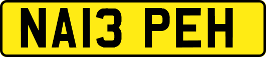 NA13PEH