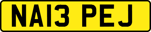 NA13PEJ