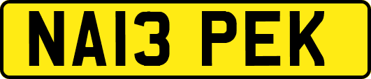 NA13PEK