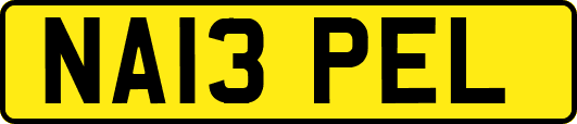NA13PEL