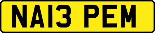 NA13PEM