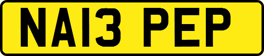 NA13PEP