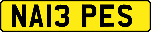 NA13PES