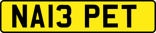NA13PET