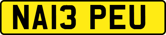 NA13PEU