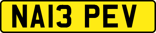 NA13PEV