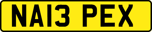 NA13PEX