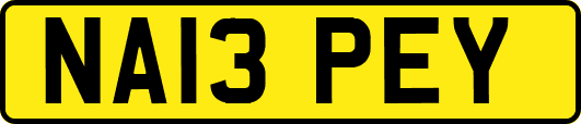 NA13PEY