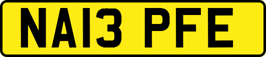 NA13PFE