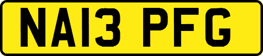 NA13PFG