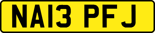 NA13PFJ