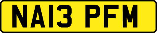 NA13PFM