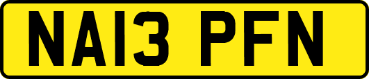 NA13PFN