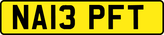 NA13PFT