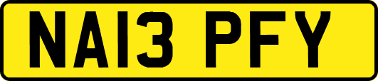 NA13PFY