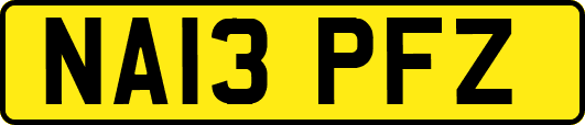 NA13PFZ