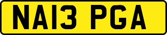 NA13PGA