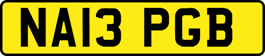 NA13PGB