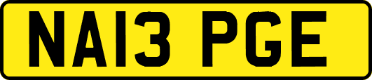 NA13PGE