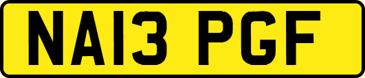 NA13PGF