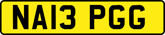 NA13PGG