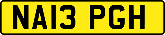 NA13PGH