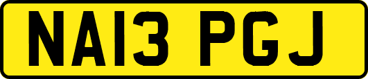 NA13PGJ