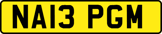 NA13PGM