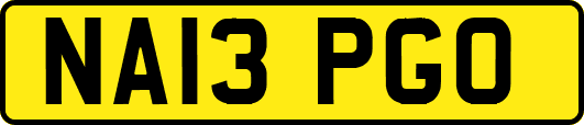 NA13PGO