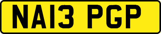 NA13PGP