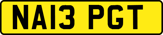 NA13PGT