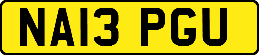 NA13PGU