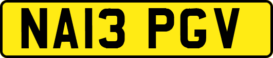 NA13PGV