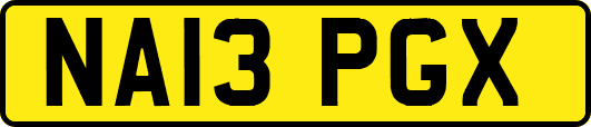 NA13PGX