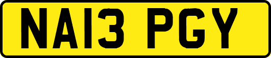 NA13PGY