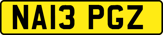 NA13PGZ