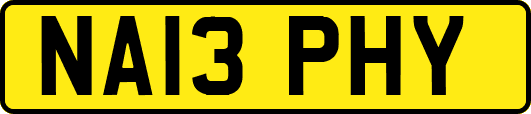 NA13PHY