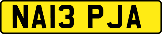 NA13PJA