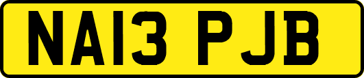 NA13PJB