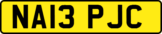 NA13PJC