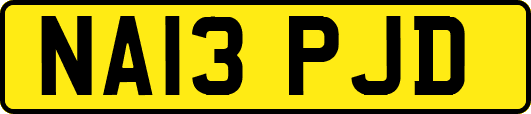 NA13PJD