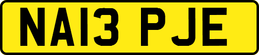 NA13PJE