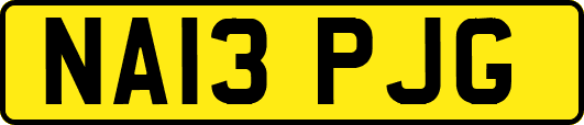 NA13PJG