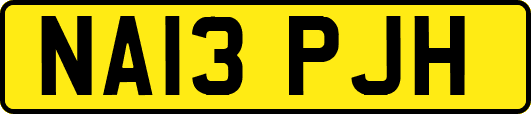 NA13PJH