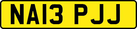 NA13PJJ
