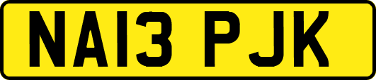 NA13PJK