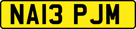 NA13PJM