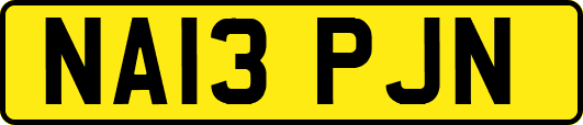 NA13PJN