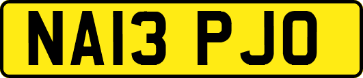 NA13PJO
