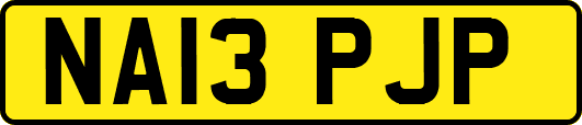 NA13PJP
